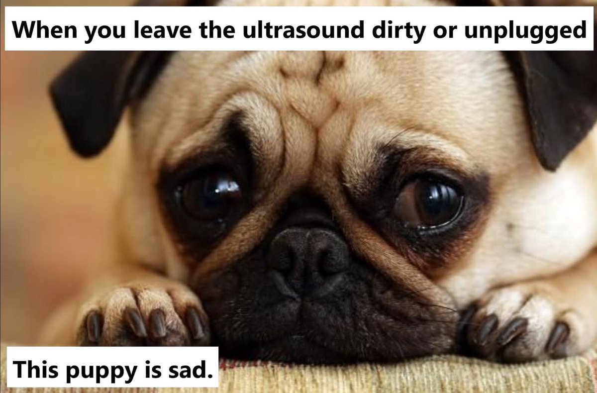 SonoMojo's tweet photo. #SonoProTip Utrasound Etiquette. When finished with the machine:
(1) Plug it in, (2) Clean the probe, (3) Make sure there's gel, and (4) Exam is ended. If you don't, you'll make this puppy sad! https://t.co/GhSq1vLVaj
