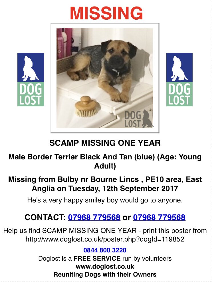 JustineQuirk's tweet photo. @PDRescue @PawprintsAnita @lisaphipps15 @Kenilworth_news @LoveKenilworth @KenilworthHr @kenilworthlions @KenilworthPL @KenilworthSch @DoglostUK @MissingPetsGB Just in case 🤞🏽 #FindScamp https://t.co/vzHqEGM7g4