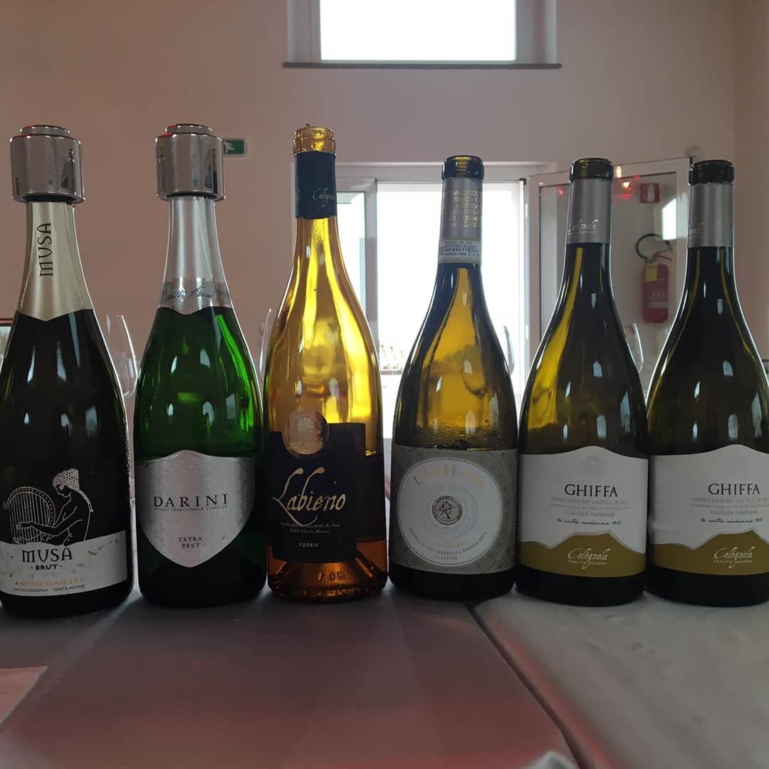 Teolati's tweet photo. Yesterday I spent the day showing buyers from Europe and Japan the beauty of Marche and of one of its gems: #verdicchio. We had great tastings at 4 amazing wineries and had the privilege of chatting with the winemakers. #lovemyjob #wine https://t.co/yK3geV6i2o
