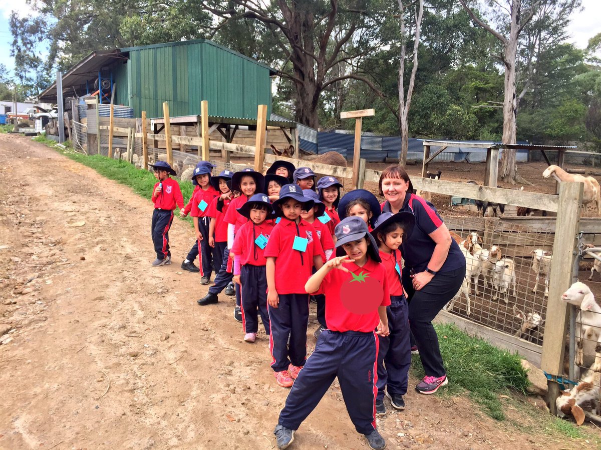 Mischelle McBriarty tweet media