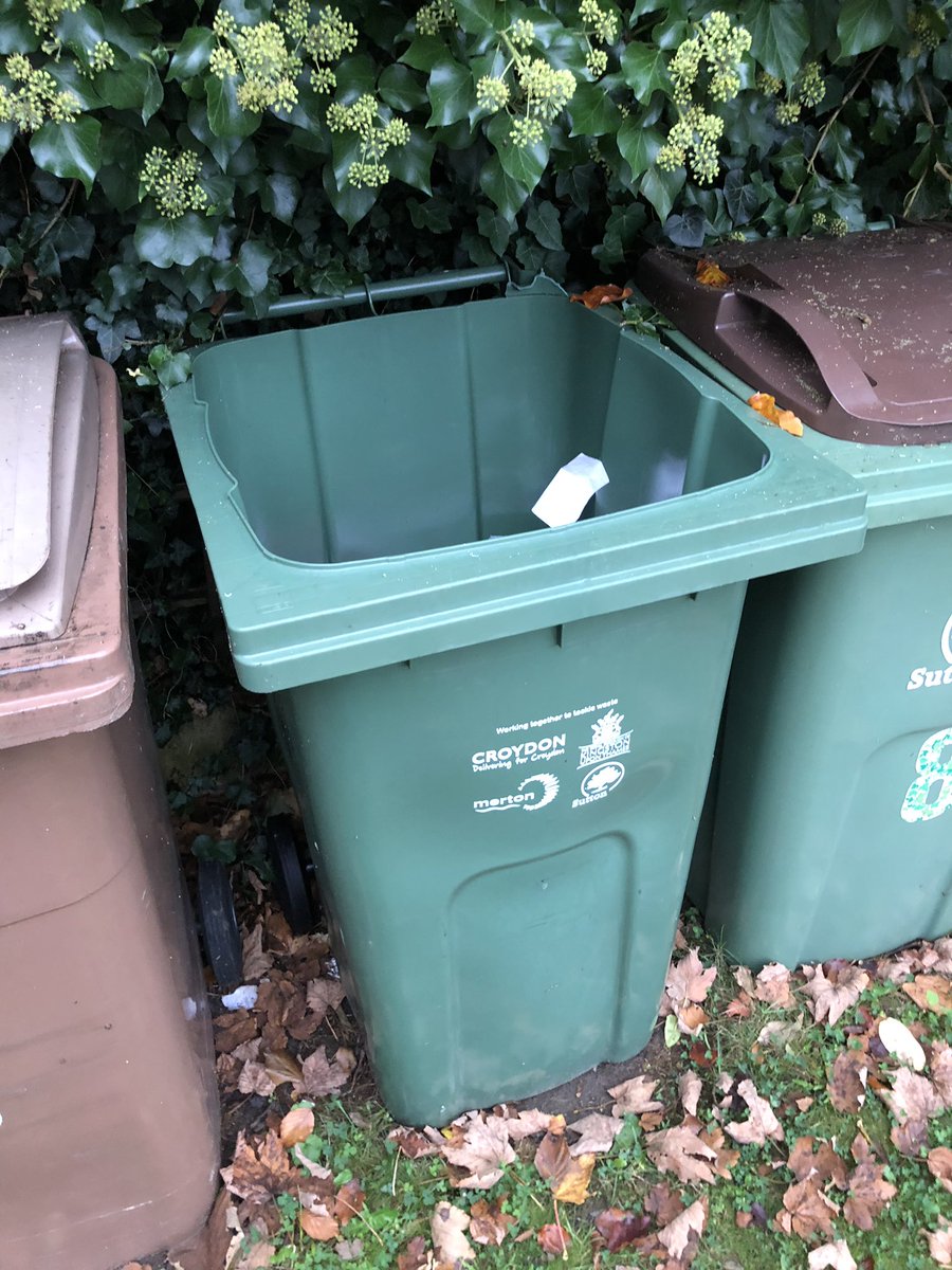 Sutton Bin Bot (SuttonBinBot) Twitter