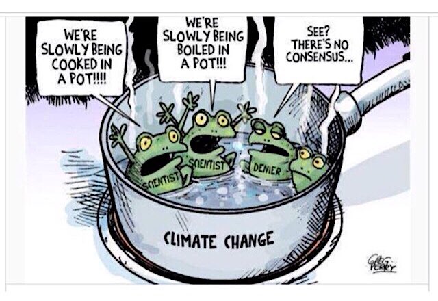 « On cuit lentement dans une casserole »
« on est bouilli dans une casserole »
« Vous voyez? Y’a pas de consensus »