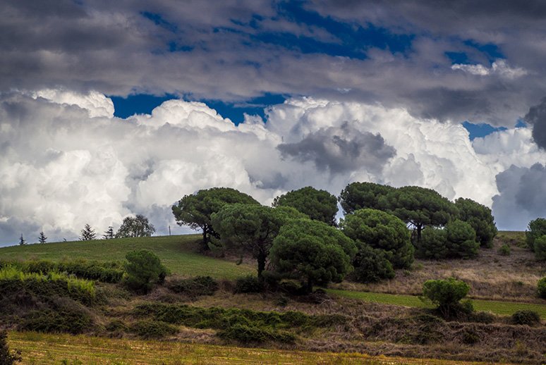 ARAmeteo's tweet image. A les portes d'un nou temporal centrat al sud de Catalunya i al País Valencià ara.cat/societat/meteo… (foto: @jordirodoreda3)