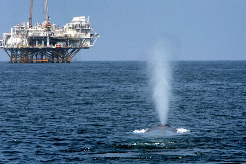BlueSmartPR's tweet photo. Descriptor 11
Energy incl. Underwater Noise
https://t.co/cLHrXAHcGg
#MarineStrategyFrameworkDirective #Descriptor11 #Sustainability #marine #sea #BlueEconomy #energy #underwater @EU_ENV @EU_MARE https://t.co/aTZ2hAHj29
