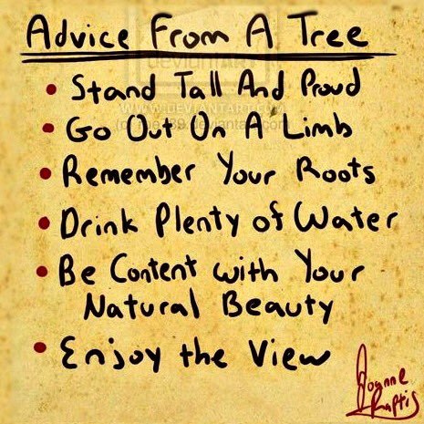 soniasatra's tweet photo. Advice from a Tree:

• Stand tall and proud
• Go out on a limb
• Remember your roots
• Be content with your natural beauty
• Enjoy the view! 

🌳

#WednesdayWisdom https://t.co/DOb20HYkpW