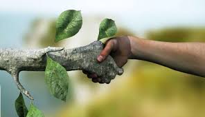 FermentationTec's tweet photo. Lipase an eco-freindly enzyme emerging for fulfilling daily needs
#Lipase  #ecofriendly #enzyme
Link: https://t.co/DsfLUJh55A https://t.co/UxprUuoSh4