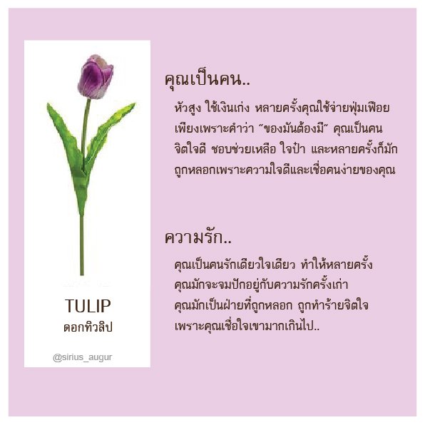 sirius_augur's tweet photo. https://t.co/PzGMjX0L20