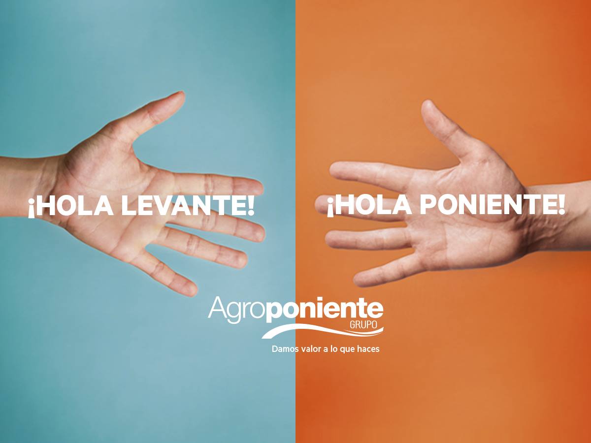 Desde ahora, Agroponiente y Vegacañada somos Grupo Agroponiente. Esto nos convierte en líderes del sector en el sur de Europa. ¡Esto se merece un saludo👋!
🎥 youtu.be/ClpCe3452Is