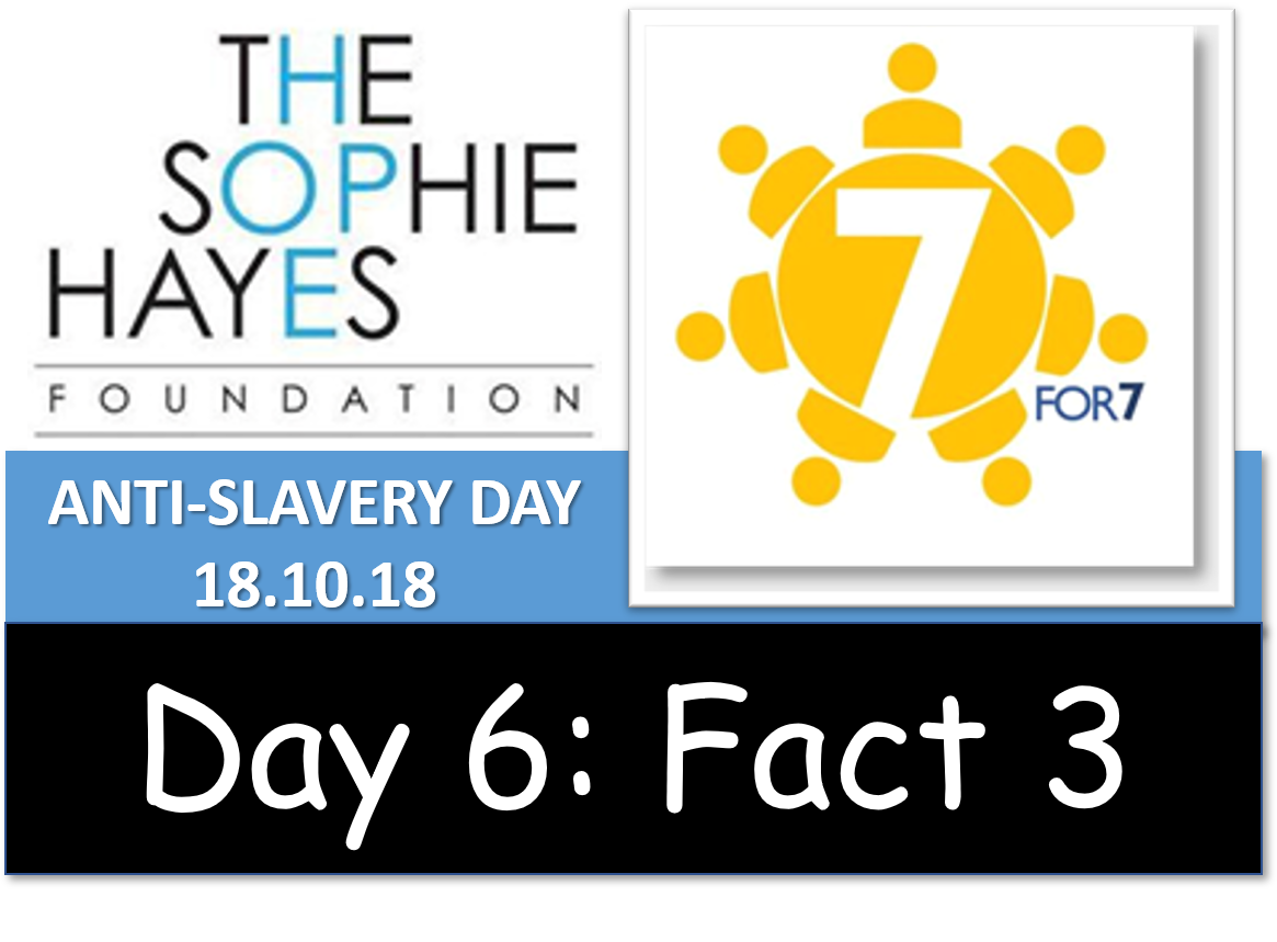 SophieHayesFndn's tweet photo. Day 6 Fact 3: #sophiehayesfoundation partner " Sophie Hayes partnering with businesses to provide training and employment is crucial in supporting the survivors of trafficking to build hope filled futures and pathways to independence" Shiva Foundation @shiva_fdn #antislaveryday https://t.co/uLuq6hvlYC