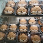 シュールなケーキが大量発生w実はこれ、チベットスナギツネっていうキツネさんらしいw