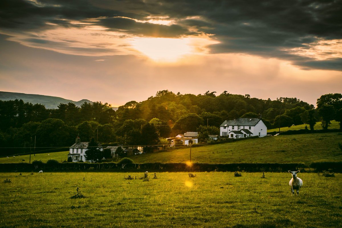 RYP2018's tweet photo. @janecraigie is attending the Rural Loneliness & Housing Conference today to talk all things @RYP2018. This is an exciting & unique event which will engage & bring together representatives from housing associations & stakeholders with an interest in #rural #housing. #ryp2018 https://t.co/CFsQQwEgvK