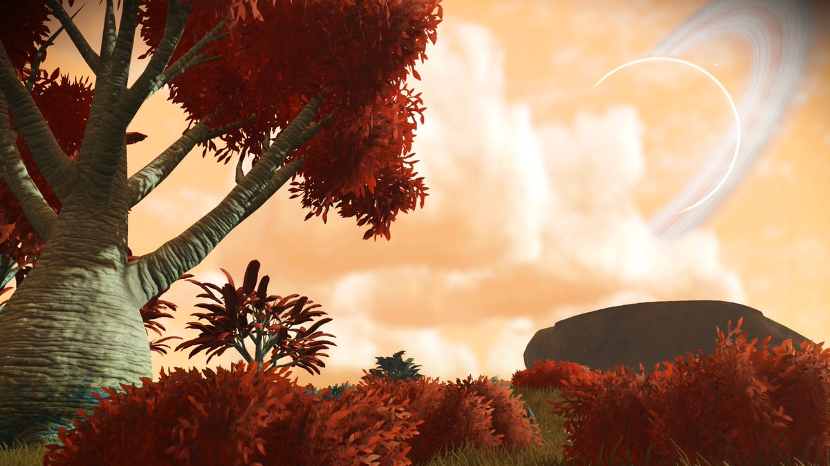NoMansSkyGlory's tweet photo. #NMSpix #NMShub #Nomanssky @NoMansSkyPix @NMSsnaps @NoMansSkyGlory https://t.co/5bD0aBNtW6