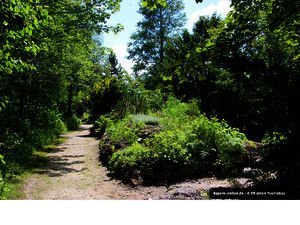 Herbstpflege im Alpengarten 

Die „Blumen- und Gartenfreunde Pfronten“ führen zweimal jährlich eine Grundpflege in Pfrontens Alpengarten durch. Am 20. Oktober 2018 bereiten ab 09:00 Uhr Vereinsmitglieder die kleine, aber feine Parkanlage in Pfronten-Stei… ift.tt/2P6iTD8