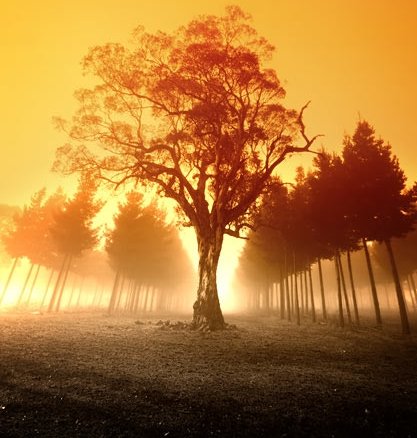 DroomStatus's tweet image. DroomStatus begeleidt naar duurzame integratie van statushouders. Iedereen wil toch een droombaan? Droomstatus.nl
#integratie #sociaal #financieel #statushouder #droombaan #inclusie #participatie #gemeente #bedrijven