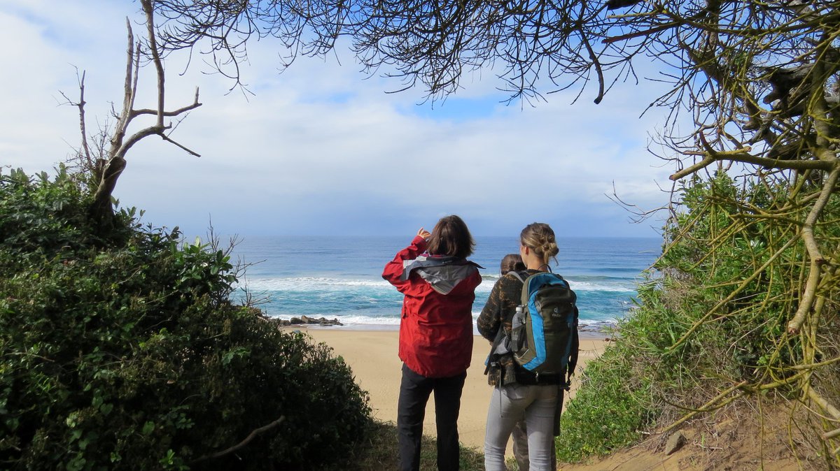 Makakatana's tweet photo. Dreamy iSimangaliso views that will knock your socks off! 😮
#iSimangalisoWetlandPark #MakakatanaBayLodge #KZNSafari #SouthAfricanSafari #BeachAndBush #BeachSafari #BestOfBoth #AfricanWildlife #Safari #Scenic #IndianOcean 
📷 Henry Smith / Wild Web
https://t.co/zVCLerYf1U https://t.co/D93zmmJ5Wt