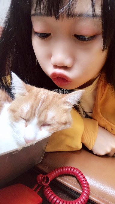 コスプレイヤー焖焖碳-のTwitter画像21