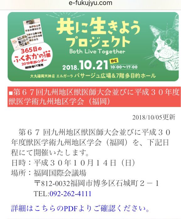 ノネコ Twitter Search Twitter