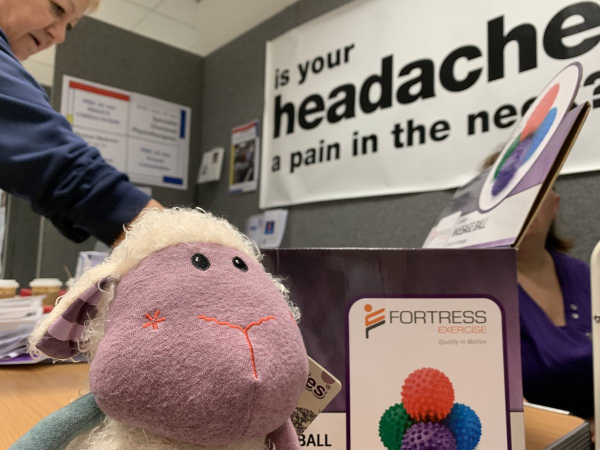 StortPhysio's tweet photo. Come down to the Rhodes Centre and BSMB 2018 for a free consultation and a chance to win “BaaBara”, wheatbag! #BSMB2018 https://t.co/mDooLERZnT