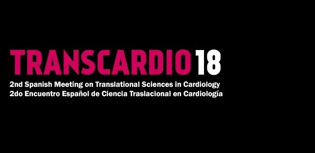 TRANSCARDIO'18. 
A <a href="/RES_HPC/">RES</a> Scientific Workshop that seeks to bring together researchers in cardiac imaging, computational cardiology, pharmacology, and cardiologists  bsc.es/ZpA