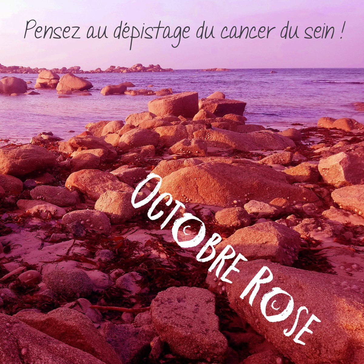 Les Alizés, le vent du Bien-être tweet media
