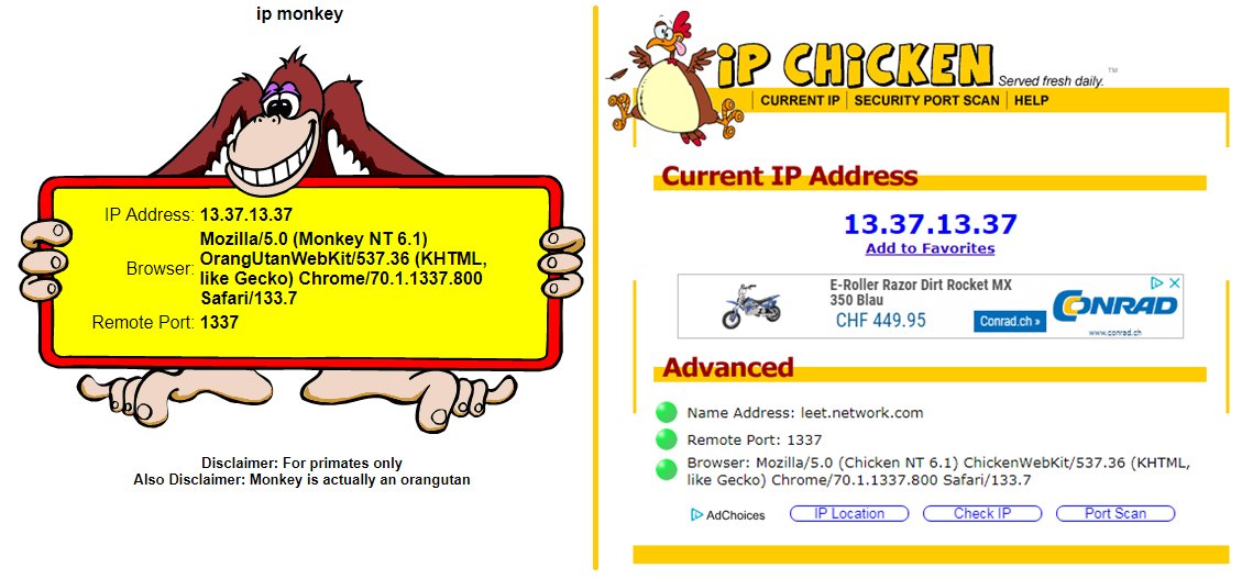 Pascal Gujer  on X:  /  :  not only showing your remote IP but also your remote port #ipchicken  #ipmonkey #identification deanonymize within carrier-grade natted networks  :sigh:  / X