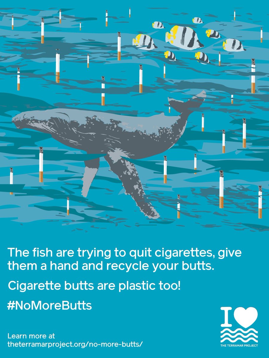 MyNottingham's tweet photo. 🛑 Dropped cigarette butts are the most common plastic litter. 😱 They poison our soil, release toxins and harm animals and sealife.

So ALWAYS bin your butt! #KeepitClean #LoveNotts https://t.co/pWba7k8MGe