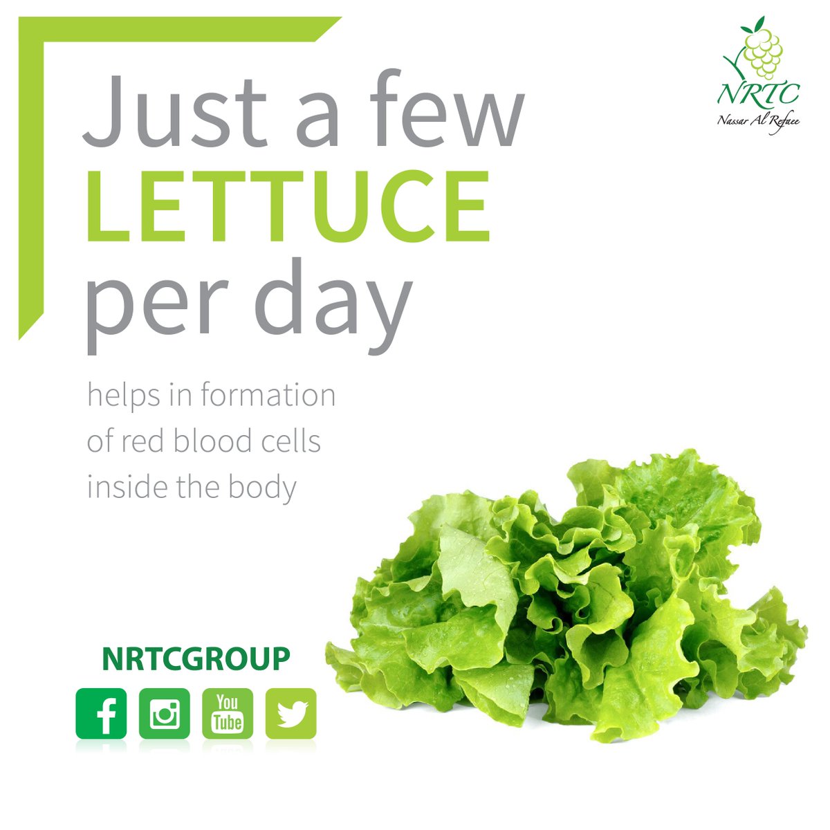 NRTCGroup's tweet photo. #NutritionTip: Lettuce is an excellent source of Vitamin A and powerhouse of nutrients. #HealthTip #HealthyFood #healthtip #nrtc #nrtcgroup #mydubai #dubai #UAE #dubaieats #dxb #dubaifoodie #delicious https://t.co/YboVMpxwPJ