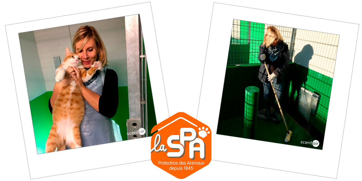 ScentAirFR's tweet photo. Toute l'équipe #ScentAir est mobilisée pour différentes actions de #bénévolat ! @SPA_Officiel @restosducoeur #EHPAD #RésidenceDuLacFlourens https://t.co/ejUCzIsD2g