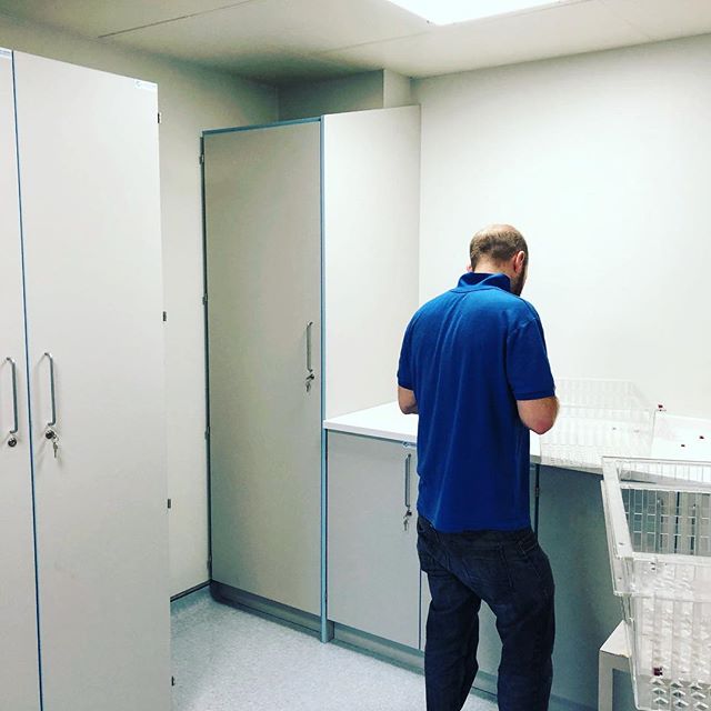 MedspaceUK's tweet photo. Applying the finishing touches to an install over the weekend in a busy operating theatre #medpsace #htm71 #solidsurface https://t.co/g5CtlsUtXt