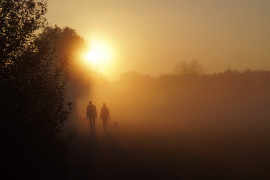 FabaPictures's tweet image. Walking the dog during sunrise. #kinzigtal #erlensee #erlenseerockt #erlenseeaktuell #sunrise #mainkinzigkreis #hessentourismus #instagood
#sonyalpha #sonyalpha6500 #sonnenaufgang #morningroutine