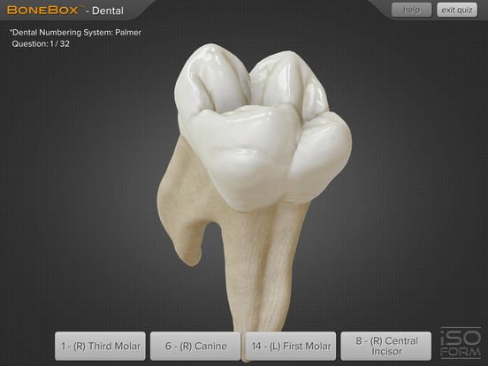 kaixo! herreminta hau partekatzen dizuet hortzen anatomia azaltzerakoan erabiltzeko. Bideo honetan nola erabili azaltzen dute: youtube.com/watch?v=qCxnI1… espero dut baliagarria izatea #practool18