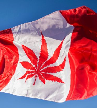 LeafOpsApp's tweet image. Big shout out to Canada on this historic day! May you pave the way for global federal #cannabis legalization!