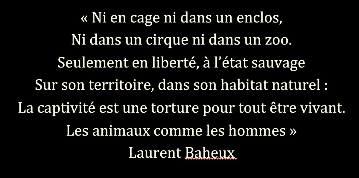 laurentbaheux tweet picture