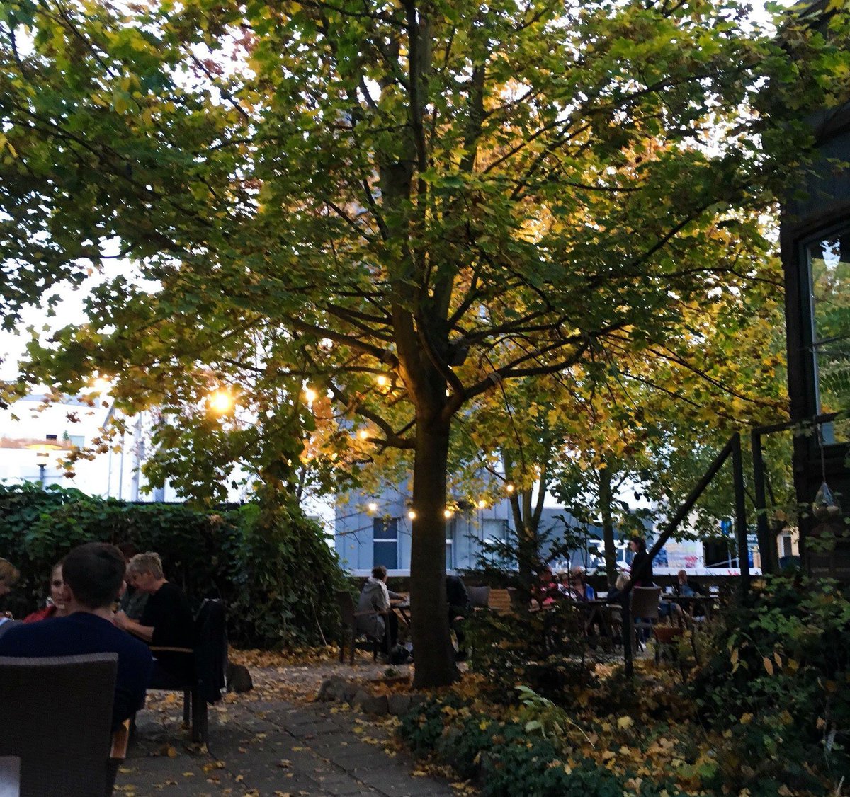 sarahboeckmd's tweet photo. Eigentlich hatten wir ja unsere #Terrassensaison schon beendet. Aber bei dem Wetter wäre es ja schade, wenn man nicht mehr draußen sitzen könnte ;)
In diesem Sinne: Willkommen im #Biergarten - again 🍻 https://t.co/7LlLAru7Wn