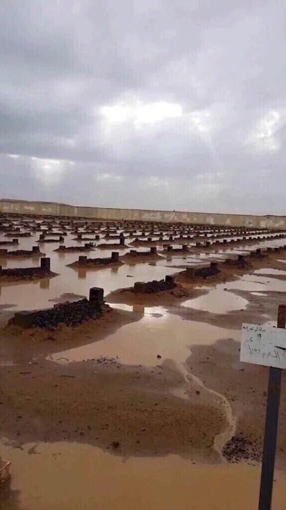 اللهم مع نزول هذا المطر اسقي قبور امواتنا اللهم إجعل لهم في كل قطرة مطر راحة ومغفرة ياربّ العالمين

 #مكه_الان