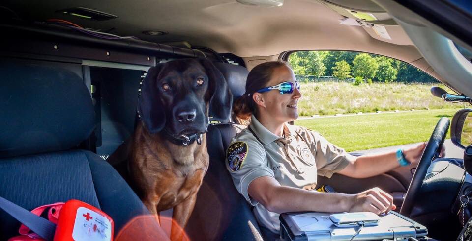 Stl_Bail_Bonds's tweet image. RT  Just looking out for your safety today. Have a good one! #SCCPDCommunity  #BobBlockBailBonds