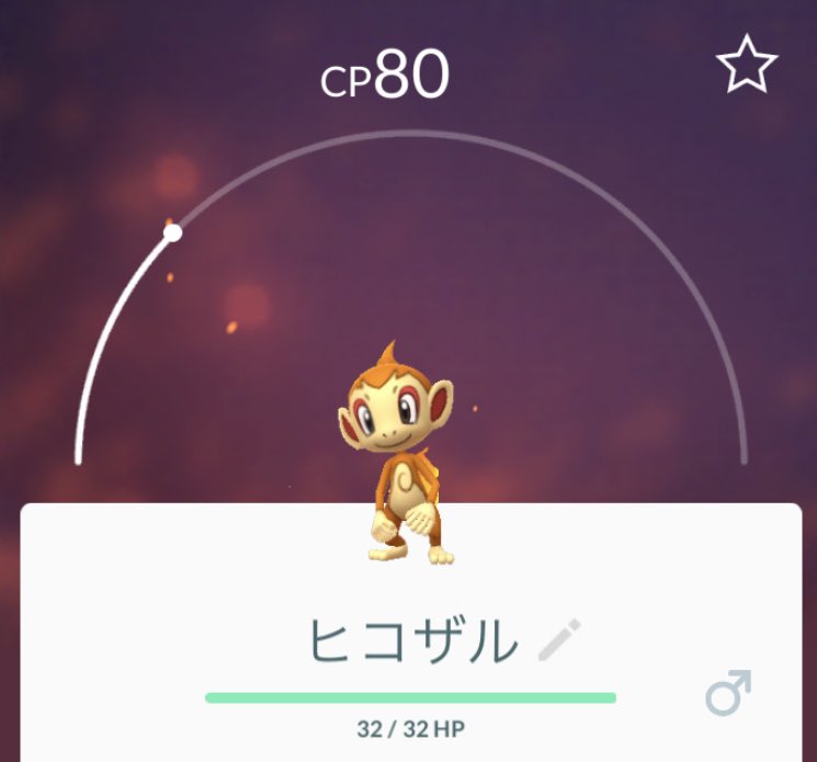 おさるのポッケ