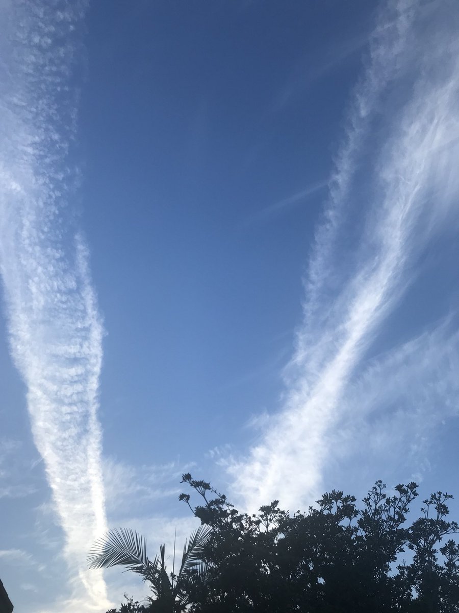 ChemtrailMatrix's tweet photo. https://t.co/mPqF8t3ifT
