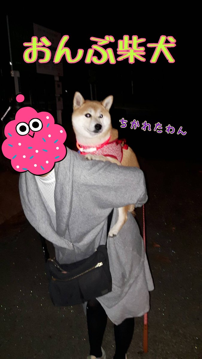 ট ইট র 柴犬ドロちゃんと仲間たち 疲れた柴犬 柴犬おんぶ T Co 00lbcjfagu ট ইট র ট ইট র 柴犬ドロちゃんと仲間たち 疲れた柴犬 柴犬おんぶ T Co 00lbcjfagu ট ইট র