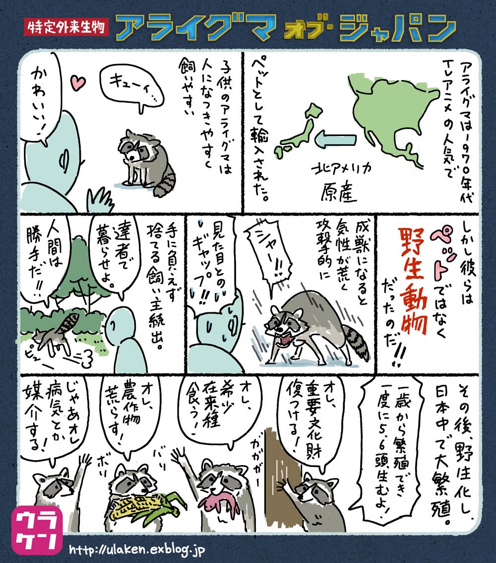 港区のアライグマを山に返したい 愛誤が署名を開始 Togetter