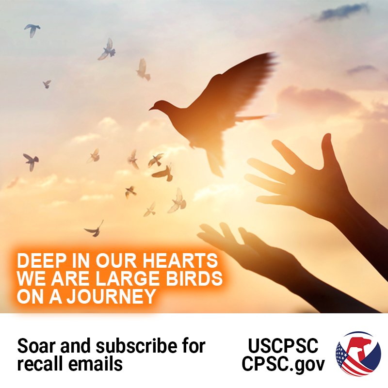 Hands releasing a bird into the sky. The text reads: deep in our hearts we are large birds on a journey. Soar and subscribe for recall emails.