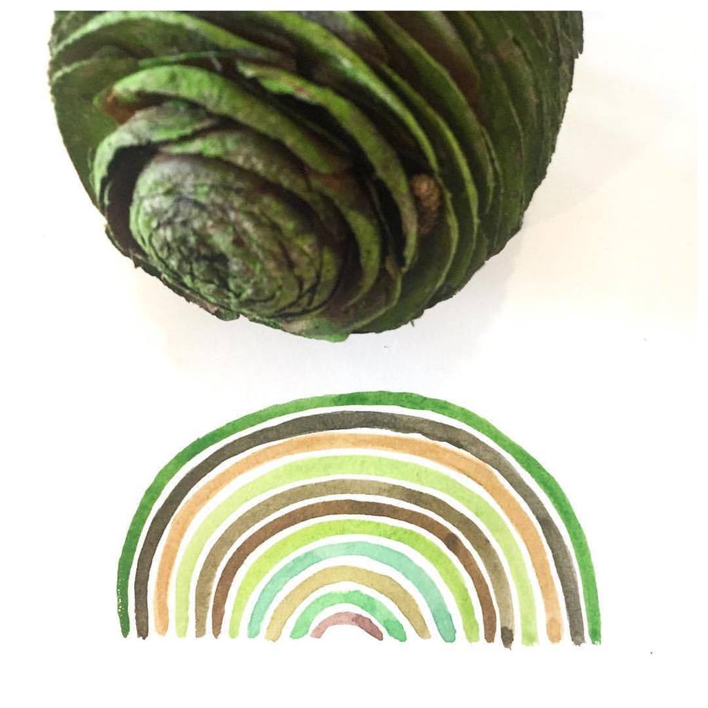 lisapriceart's tweet photo. A little rainbow of green on this drizzly grey day. Hopefully this gives you a colourful pick me up today 💚🍃🌳
#mydailychroma #londonartist #colourpalette #makespacetocreate #foragingforinspiration #walkinginthewoods #greenrainbow #pinecones #northlo… https://t.co/oJJhg1TWaV https://t.co/Pcw00QrpVv