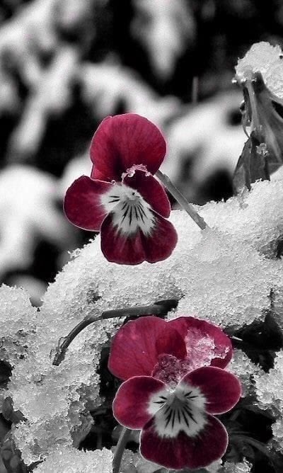 🌧💜 tweet media