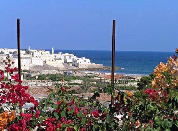 abdirisakey's tweet photo. احبه مكان,,, وطني الصومال❤️🇸🇴❤️
The horn of Africa is back ❤️🇸🇴❤️
#Somalia https://t.co/fBXbCN2mEh