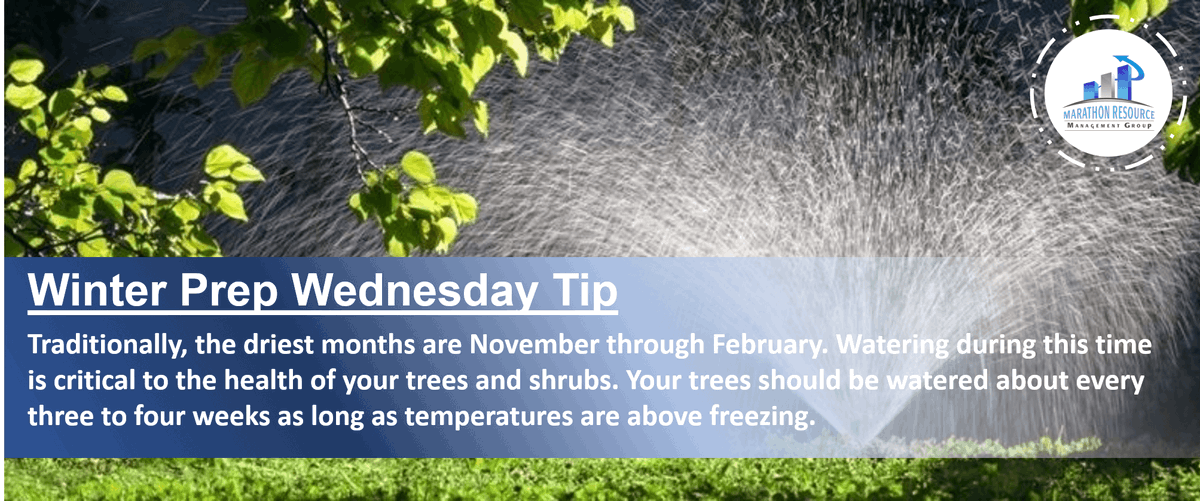 MarathonRMG's tweet photo. Winter Prep Wednesday! Keep your trees happy and full this winter. Sales@MarathonRMG.com to schedule today! #MRMG #WinterPrepWednesday https://t.co/0b5wVKJP6G
