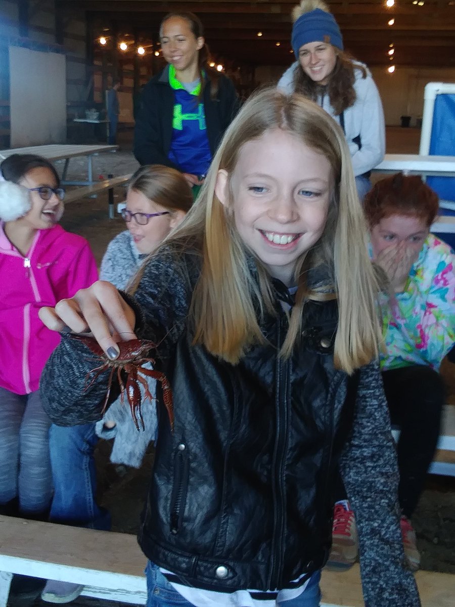 NEN4thgrade's tweet photo. We are starting our day off by holding crawdads. https://t.co/I14PRkHaOz