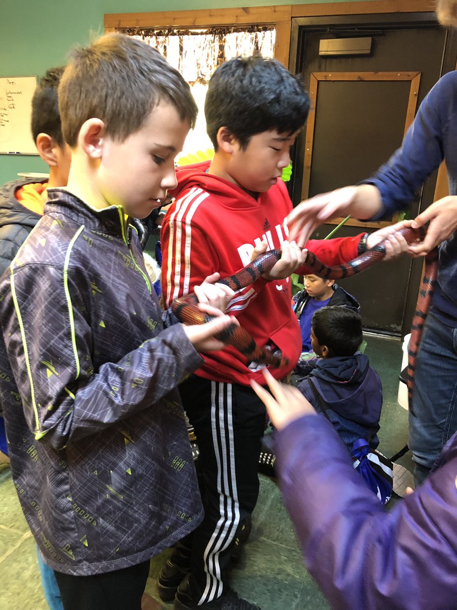 mrsmurphyham's tweet photo. Mrs Murphy’s favorite learning lab! @HamiltonHawks82 @suzannemiller21 @azarewych  @MrRogersTSD https://t.co/CQlccOL8Bz