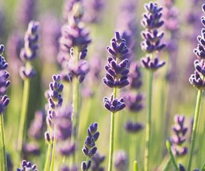 NBNTrust's tweet image. We are excited to announce the 19 shortlisted Finalists of #NBNAwards18 - celebrating these outstanding #BiologialRecorders: ow.ly/tEhO30mgvIs  Congratulations to you all!