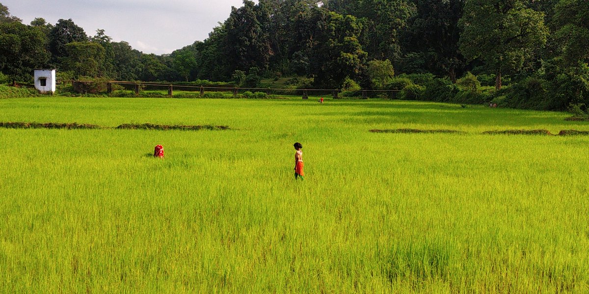 Sandeep03972200's tweet photo. @SimdegaTourism amazing... simdega , awesome simdega.
#incrediblesimdega https://t.co/LRfM0O8m7t