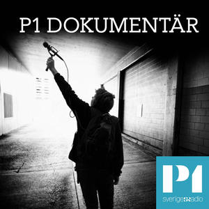 SRLedigajobb's tweet photo. Idérik producent till @P1dokumentar!
 I P1 Dokumentär hörs berättelser från verkligheten. Till redaktionen söker vi nu dig som vill vara med och producera en av Sveriges Radios största poddar. 
 
Läs mer och sök jobbet genom länken nedan:
https://t.co/9AbRF6G7ZC https://t.co/ra372aunVz
